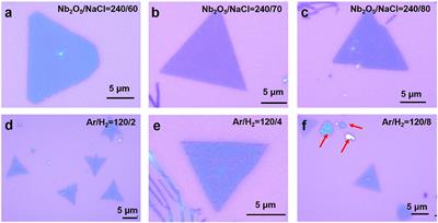 Controllable Growth of Few-Layer Niobium Disulfide by Atmospheric Pressure Chemical Vapor Deposition for Molecular Sensing